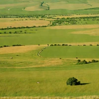 Fort Pierre National Grassland