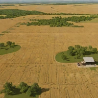 Felton Prairie