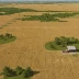Felton Prairie