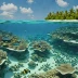 Farquhar Atoll Reef