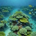 Fiji Great Sea Reef