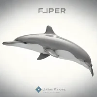Flipper (Kathy)