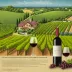 Finance Simulation: M&A in Wine Country