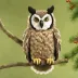 Folkmanis Great Horned Owl Puppet