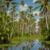 Fakahatchee Strand State Preserve