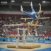 FIG Apparatus World Cup