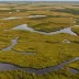 Flanders Moss