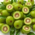 Feijoa / Pineapple Guava (Acca sellowiana)