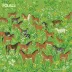 Foals - Antidotes