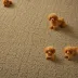 FLOR Toy Poodle Carpet Tile