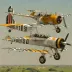 Fieseler F2 Tiger