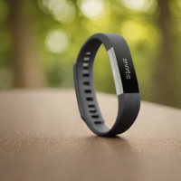 Fitbit Aria Air