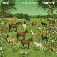 Foals - Total Life Forever
