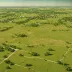 Fort Worth Prairie