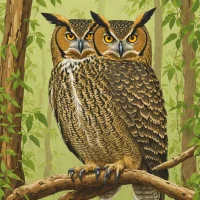 Forest Eagle-Owl