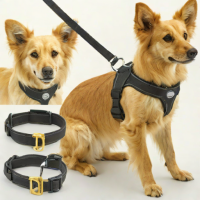 Four Paws GripSoft Harness