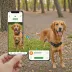 FitBark GPS Dog Monitor