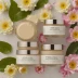 Fresh Lotus Youth Preserve Dream Face Cream