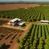Fazenda Santa Ines Brazil
