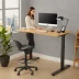 FlexiSpot E7 Pro Plus Standing Desk