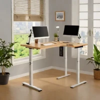 FlexiSpot E5 Standing Desk