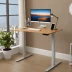 FlexiSpot Q8 Comhar Pro Standing Desk