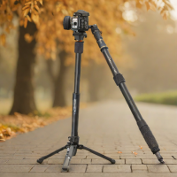 Fotopro Delux-S Monopod