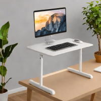 FlexiSpot Standing Desk Laptop Stand