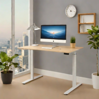 FlexiSpot Electric Height Adjustable Standing Desk