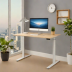 FlexiSpot Electric Height Adjustable Standing Desk