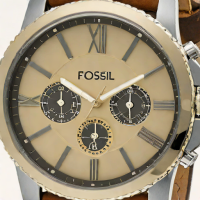 Fossil Grant