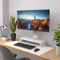 FlexiSpot Pro Series Monitor Riser
