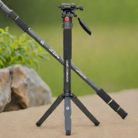 Fotopro Monopod Pro III