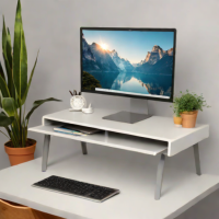 FlexiSpot Monitor Riser with Drawer