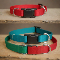 FoggyDog Solid Nylon Dog Collar