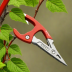 Felco 60 Pruning Shears