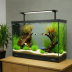 Fluval Flex 540