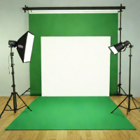 Fancierstudio 10x12 Green Screen Kit