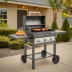 Frontier 3100 Charcoal Grill