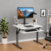 FlexiSpot Sit-Stand Desk Converter with Monitor Shelf
