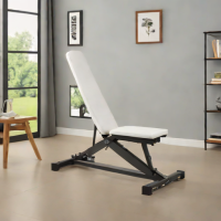 Flybird Adjustable Bench