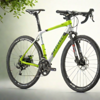 Giant Roam 2