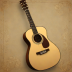 Guild D-55 Acoustic Guitar