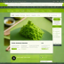 Green Tea (Ceremonial Grade)