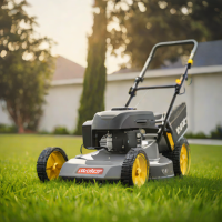 Gas Mower with Mulching Capability