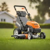 Gas Mower with Bagging System