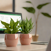 Glazed Ceramic Planters