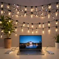 Govee Outdoor LED String Lights