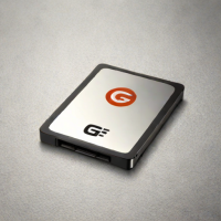 G-Technology G-DRIVE SSD (Desktop)