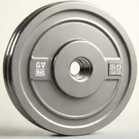 GymMaster Plates
